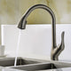 Accent Series Single-Handle Pull-Down Sprayer Kitchen Faucet in Brushed Nickel