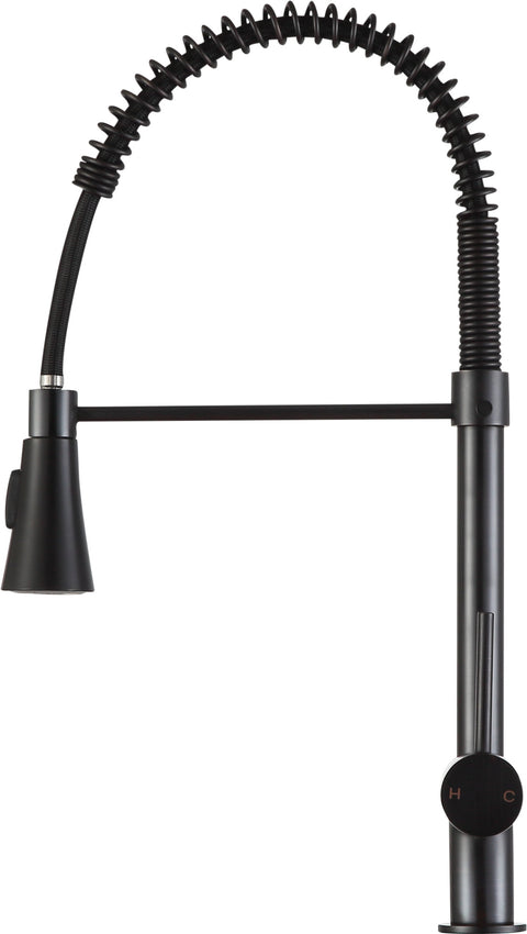 Carriage Single-Handle Standard Kitchen Faucet in Oil Rubbed Bronze