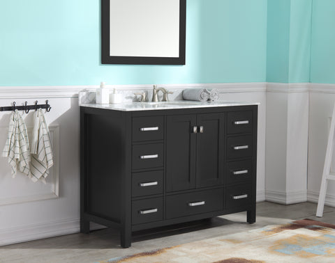 Chateau 48 in. W x 22 in. D Bath Vanity Set in Black with Vanity Top in Carrara Marble with White Sink and Mirror