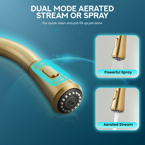 Sunset 4-in-1 Single Handle 17.5 in. Faucet for Instant Hot Water Dispensor with Boiler Tank and Filter in Brushed Gold