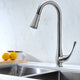 Singer Series Single-Handle Pull-Down Sprayer Kitchen Faucet in Brushed Nickel