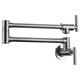 ANZZI Braccia Series 24" Wall Mounted Pot Filler