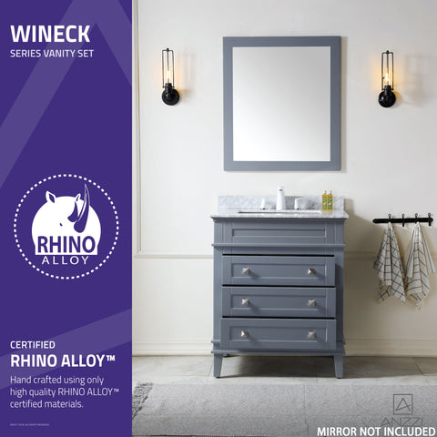 Wineck 30 in. W x 35 in. H Bathroom Bath Vanity Set in Rich Gray