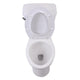 ANZZI Author 2-piece 1.28 GPF Single Flush Elongated Toilet in White