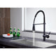 ANZZI Carriage Single Handle Standard Kitchen Faucet