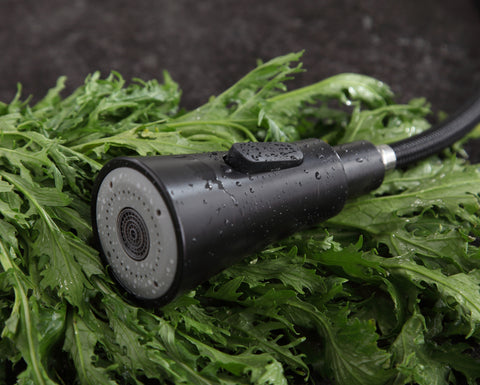 Carriage Single-Handle Standard Kitchen Faucet in Oil Rubbed Bronze