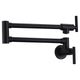 ANZZI Braccia Series 24" Wall Mounted Pot Filler