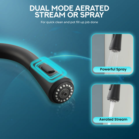 Sunset 4-in-1 Single Handle 17.5 in. Faucet for Instant Hot Water Dispensor with Boiler Tank and Filter in Matte Black