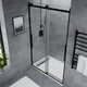 ANZZI Stellar Series 48 in. x 76 in. Frameless Sliding Shower Door with Handle