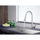 ANZZI Tulip Single-Handle Pull-Out Sprayer Kitchen Faucet