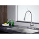 KF-AZ214BN - Rodeo Single-Handle Pull-Out Sprayer Kitchen Faucet in Brushed Nickel