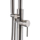 ANZZI Moray Series 2-Handle Freestanding Tub Faucet with Hand Shower