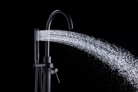 Coral Series 2-Handle Freestanding Tub Faucet with 60 in. Euro-Grip Hand Sprayer in Oil Rubbed Bronze