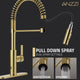Ola Hands Free Touchless 1-Handle Pull-Down Sprayer Kitchen Faucet with Motion Sense and Fan Sprayer in Brushed Gold