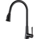 KF-AZ216ORB - ANZZI ANZZI Tulip Series 17.72 in.H Single-Handle Pull-Out Sprayer Kitchen Faucet with Brass Material in Oil Rubbed Bronze Finish