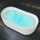 FT-AZ203 - ANZZI ANZZI Janet Series 67 in. Freestanding Acrylic Air and Whirlpool Bathtub with Touch Sensitive Control and Chroma Lights