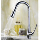 ANZZI Elysian Farmhouse 33 in. Double Bowl Kitchen Sink with Singer Faucet in Polished Chrome