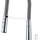 Apollo Single Handle Pull-Down Sprayer Kitchen Faucet in Polished Chrome