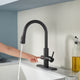 Sunset 4-in-1 Single Handle 17.5 in. Faucet for Instant Hot Water Dispensor with Boiler Tank and Filter in Matte Black