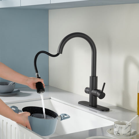 Sunset 4-in-1 Single Handle 17.5 in. Faucet for Instant Hot Water Dispensor with Boiler Tank and Filter