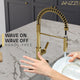 Ola Hands Free Touchless 1-Handle Pull-Down Sprayer Kitchen Faucet with Motion Sense and Fan Sprayer in Brushed Gold