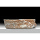 ANZZI Desert Shell Vessel Sink in Dark Honey Onyx