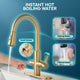 Sunset 4-in-1 Single Handle 17.5 in. Faucet for Instant Hot Water Dispensor with Boiler Tank and Filter in Brushed Gold