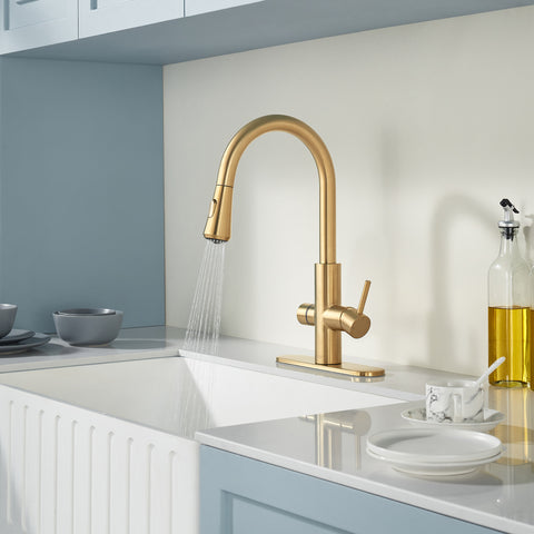 Sunset 4-in-1 Single Handle 17.5 in. Faucet for Instant Hot Water Dispensor with Boiler Tank and Filter in Brushed Gold