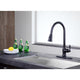 KF-AZ214ORB - Rodeo Single-Handle Pull-Out Sprayer Kitchen Faucet in Oil Rubbed Bronze