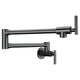 KF-AZ258GB - Braccia Series 24" Wall Mounted Pot Filler in Gunmetal Black