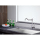 KF-AZ198BN - ANZZI Patriarch Single Handle Standard Kitchen Faucet in Brushed Nickel