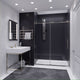 ANZZI Madam Series 60 in. by 76 in. Frameless Sliding Shower Door with Handle